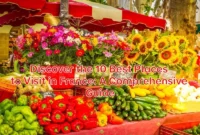 Discover-the-10-Best-Places-to-Visit-in-France-A-Comprehensive-Guide