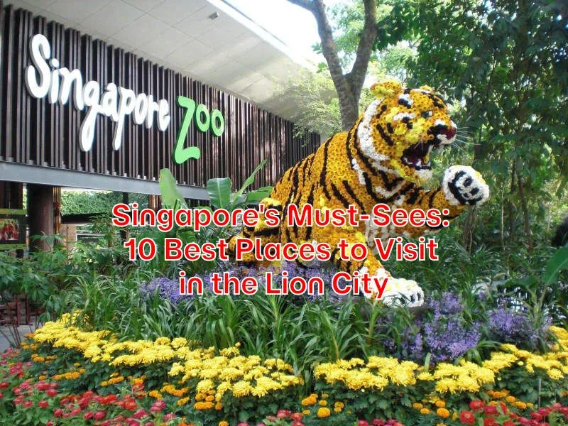 Singapores-Must-Sees-10-Best-Places-to-Visit-in-the-Lion-City