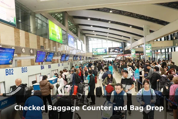 Checked Baggage Counter and Bag Drop