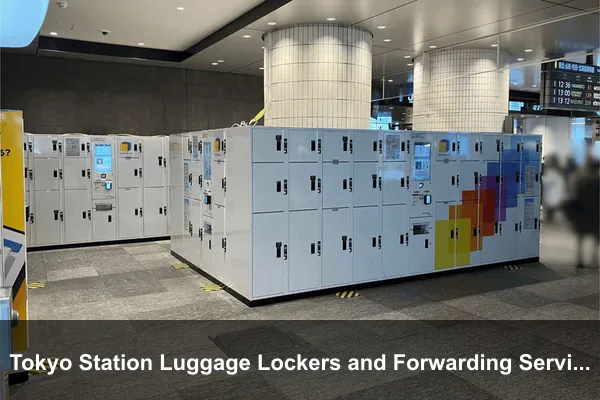 Tokyo Station Luggage Lockers and Forwarding Services