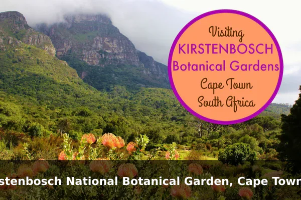 Kirstenbosch National Botanical Garden, Cape Town, South Africa