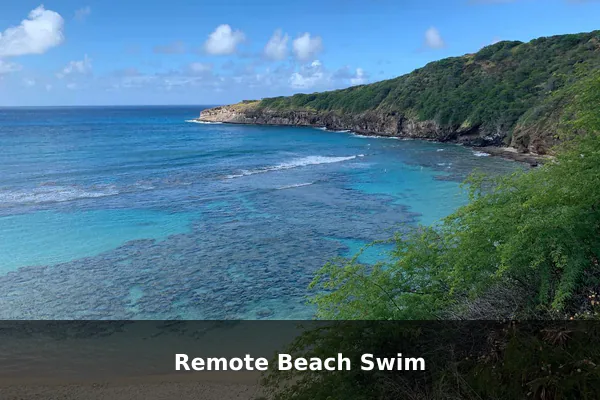 Remote Beach Swim