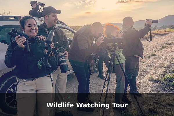 Wildlife Watching Tour