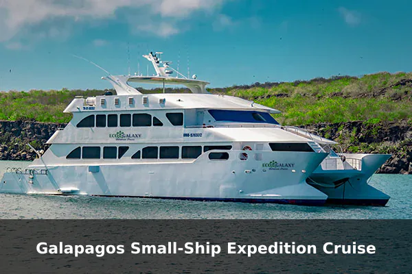 Galapagos Small-Ship Expedition Cruise