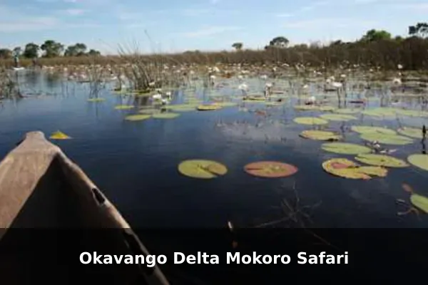 Okavango Delta Mokoro Safari