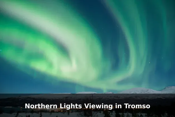 Northern Lights Viewing in Tromso
