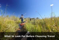What to Look For Before Choosing Travel