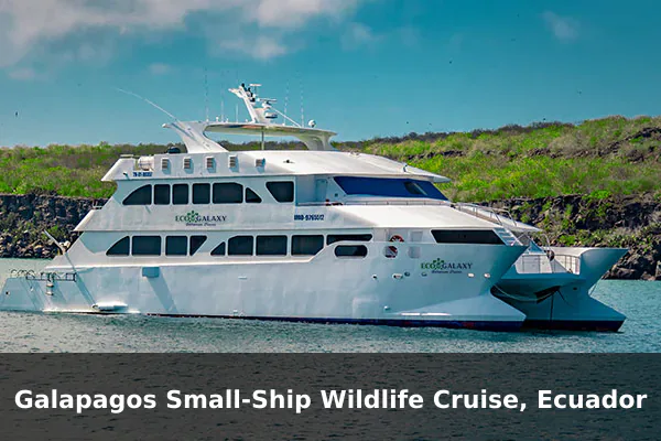 Galapagos Small-Ship Wildlife Cruise, Ecuador