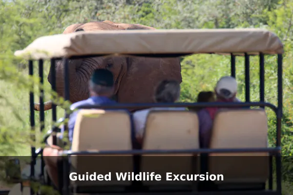 Guided Wildlife Excursion