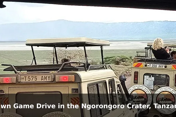 Dawn Game Drive in the Ngorongoro Crater, Tanzania